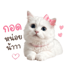 Catnina_20260430235223