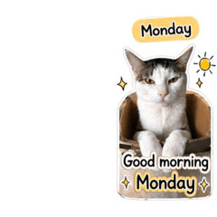 catbychalee_20260430234405
