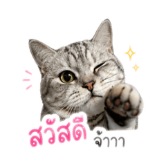 Tong _20260502111123