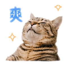 沙米素西小天地4