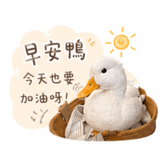 鴨鴨不一樣5♡