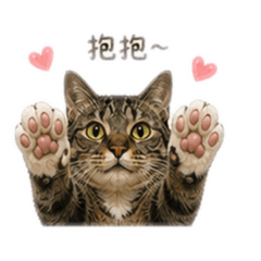 腿腿寶寶3