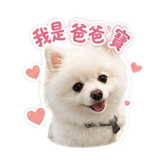 Poki情勒爸爸
