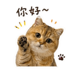 耶露欸姆家族