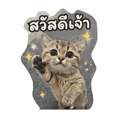 Numsasy_20260428101642