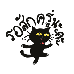 Black meaow hard working
