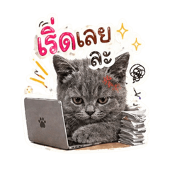 Kamonchanok_20260501005510