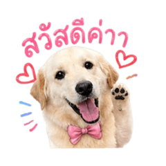 Friend_20260430233521