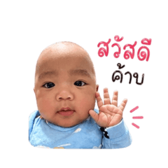 PJ Shop_20260428101353