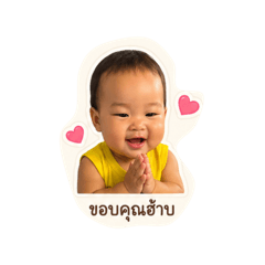 Araya_20260428102151