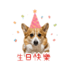 Snow baby雪寶