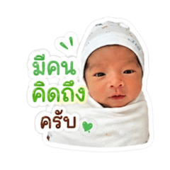 mayrose_20260428102556