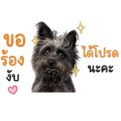 Fakin_v1_20260428102635