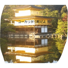 taiga_20260428184233