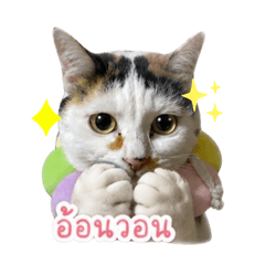 mook_20260430003937