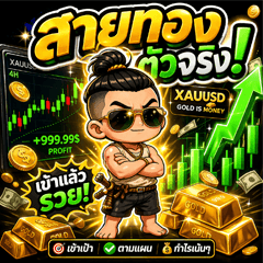 trader thailand