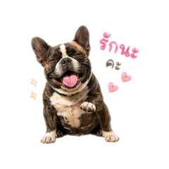 Mulie so cute