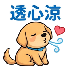 黃金亮亮：夏日冷氣急診室與修繕日常