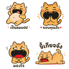 The orange cat is noisy