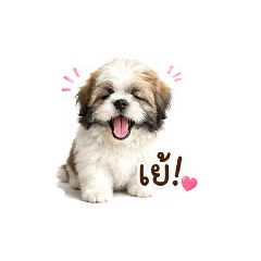 Ginny Puppy
