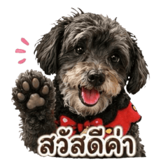 BokBaek Chaoguay