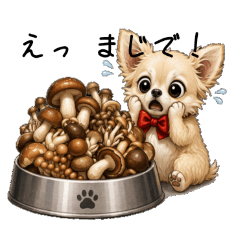 kenwan_20260427201135