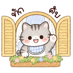 เหมียวโนริ <3