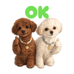 DOG STAMP ORDER_20260503180943