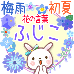 Rainy Days and Early Summer for Fujico