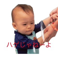 rrr_20260425235128