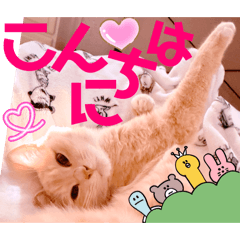 Mochioba_20260503224703