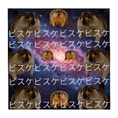 mamottonkatsu_20260425235911