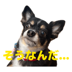 Kimika_20260502005407