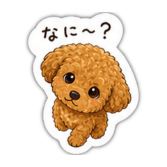 roytim_20260502010018