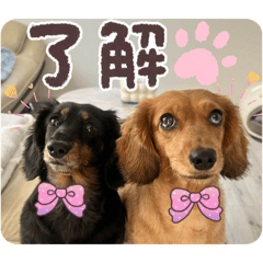 Emiri_20260502005524
