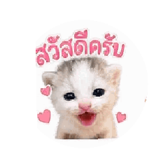Mantana Prommachat_20260503184003