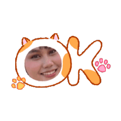 nim_20260503153434