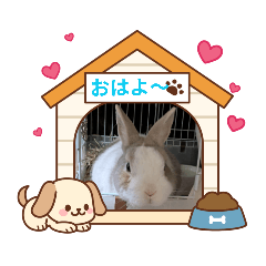 LEOKUNMAMA_20260502015232