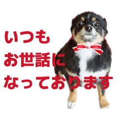 Kimika_20260502014459