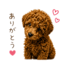 kouji.s_20260502035708