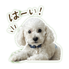 SAYURI_20260502083305