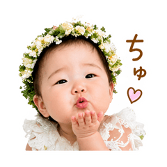 HAL_20260502083455