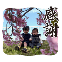 ayachan_20260502120330