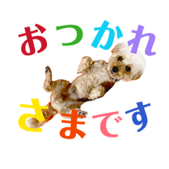 Miyako_20260502120339