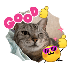 natsuki_20260502122041