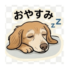 natu_20260502121721