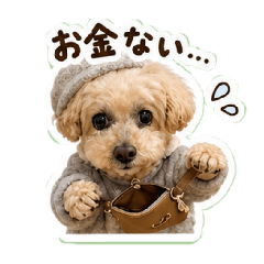 ezoten_20260502122208