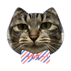 chi_nyan_20260502122452