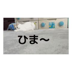 a_20260503183720