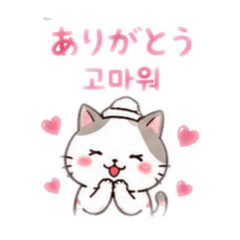 Japanese, Korean, Cat